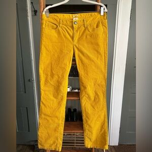J. Crew Matchstick (pinwale) Cords in Mustard 29
